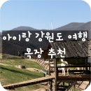 태백목장 | 강원도 목장 추천 몽토랑산양목장, 아이랑 가기 좋은 태백 체험 목장
