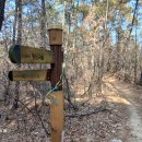 정림삼거리 이미지