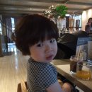 글로리퍼니처 | 어른둘아이둘 치앙마이 / 님만해민 _카페 아르떼, JJ팟타이