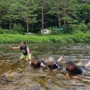 해미레2 이미지