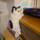 정광빌딩 이미지