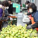 대저농협유통센터(APC) 이미지