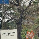 메리지아레 이미지