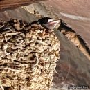 능안2리 경로당 이미지