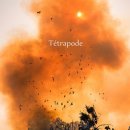 자하미술관 이미지