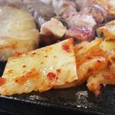 제주꽃돼지 이미지