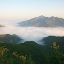 곡성-209 Daum카페