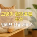 이완 묘 및 정려각 | 고양이 힐링 호텔 추천과 반려묘 전용 서비스