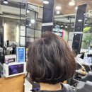 살롱드쥬 | 강남구 신사동 보브단발 성지✨ 쥬라엘드살롱 라엘 원장님 인생 머리 후기 (개나리 같은 희망을 선물...