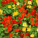 호수공원14로 Daum카페