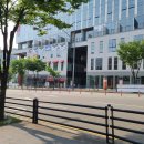 세라젬 용인흥덕점 | 투썸플레이스 용인흥덕점 : 투썸 오픈 #메뉴판 #티라미수 #방문후기
