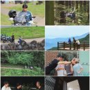 만대리 | '뭐라도 남기리' 김남길 이상윤 바이크 촬영지 방송시간 후기