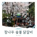 소양강닭갈비막국수 | 춘천 애견동반 가능한 소양강댐 맛집 _ 참나무 숯불 닭갈비