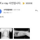 개명동물병원 이미지