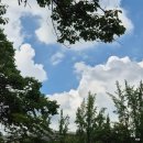 럭키약국 | 럭키?세븐의시작