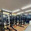 와이디짐 이미지