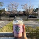 스타벅스 강서녹산DT점 | 부산 스타벅스 강서녹산DT점 체리블라썸 백도 크림 프라푸치노 봄 신상 신메뉴