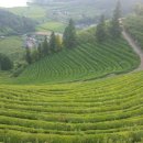 고금대교휴게소 이미지