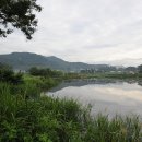 물나들이 이미지