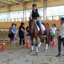 순창군승마장 이미지