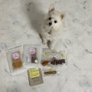 멍슐랭 | 강아지 수제간식 "멍슐랭 대박이네" #내돈내산 후기