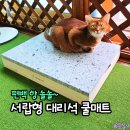 나무타는고양이 구경하는강아지 | 고양이 강아지 대리석 쿨매트, 투인플레이스 애견매트로 올여름 시원하게!