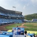 삼성vs롯데ㅣ삼성라이온즈파크ㅣ이수페타시스 1루 테이블석 T1-2구역 4열 9,10번 시야•먹거리•후기