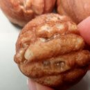 호밀호두선정릉역점 이미지