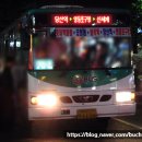 소신여객자동차(주) 이미지