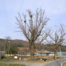 [대전] 보문산 서남쪽 자락에 깃든 300년 묵은 전통마을, 무수동 무수천하마을 (안동권씨유회당종가, 광영정, 유회당부기궁재) 이미지