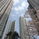 광교더샵이음공인중개사사무소 | 광교포스코 더샵 아파트에 찾아온 봄 손님들이 들려주는 이야기