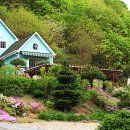 금당계곡 펜션 이미지