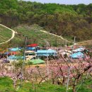 사곡2리 이미지