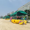 대천머드파라솔 이미지