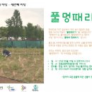 풀멍 네이버블로그