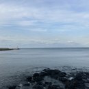 하귀안경 이미지