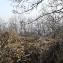 관성보건진료소 이미지