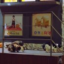 장모님치킨 거제점
