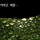 INFORMATION 이미지