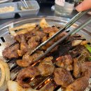 구공탄뽈따구 이미지