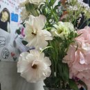 경주제일약국 | #62. 스트레스 많이 받을거야