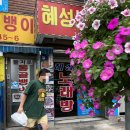 남도회을지로골뱅이 | 방학동 골뱅이 맛집, 남도회 을지로 통골뱅이 파무침 골뱅이 포장 및 배달