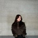브라운미뉴엣 | 오사와 미뉴엣 크롭 퍼 니트 자켓 착용 후기 (브라운 컬러)