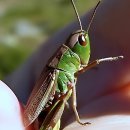 한샘정형외과의원 이미지