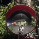 면식당(食) | 25년 8월 : 발리 9일차 (하얏트 리젠시 체크아웃 후 수영장/샤워장 이용 상세 후기)