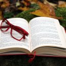 경향 행정사사무소 이미지