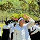 진도개사랑 이미지