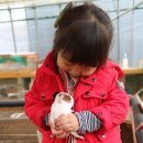 이효석농장 이미지