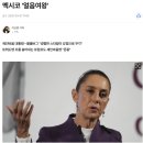 변덕 죽끓듯한 美 트럼프의 &#39;리스펙&#39;을 이끌어낸 멕시코의 &#39;얼음여왕&#39; 이미지