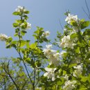 청소년수련관 음악연습실1 이미지